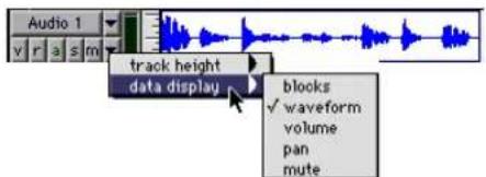 Audio 1 v r a s m track height data display blocks ✓ waveform volume pan mute