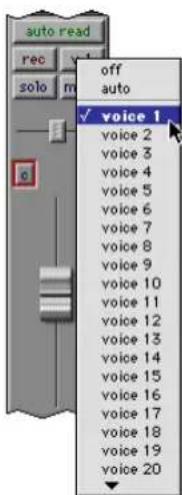 Avid Pro Tools 5.1 - Selector de voz (sólo sistemas TDM) - 1