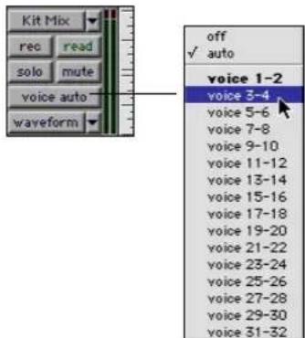 Avid Pro Tools 5.1 - Asignación de voces - 1