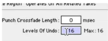 Punch Crossfade Length: 0 msec Levels Of Undo: 16 Max: 16