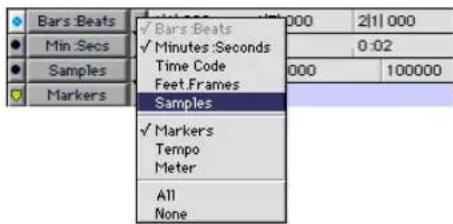 Bars Beats Min:Secs Samples Markers ✓ Bars Beats ✓ Minutes:Seconds Time Code Feet.Frames Samples ✓ Markers Tempo Meter All None 000 2(1) 000 0:02 000 100000