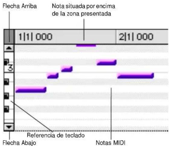 Flecha Arriba Nota situada por encima de la zona presentada 1|1| 000 2|1| 000 Referencia de teclado Flecha Abajo Notas MIDI