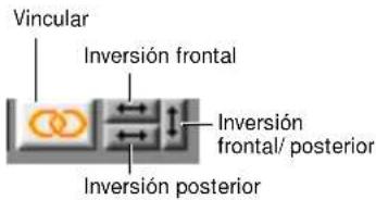 Vincular Inversión frontal Inversión frontal/ posterior Inversión posterior