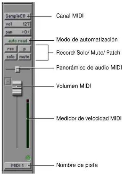SampleC11-4 vol t27 pan >0< auto read rec p solo mute Canal MIDI Modo de automatización Record/ Solo/ Mute/ Patch Panorámico de audio MIDI Volumen MIDI Medidor de velocidad MIDI Nombre de pista MIDI 1