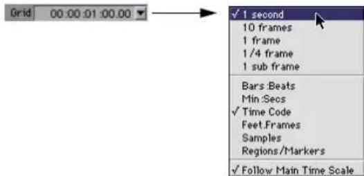 Grid 00:00:01:00.00 ✓ 1 second 10 frames 1 frame 1/4 frame 1 sub frame Bars:Beats Min:Secs ✓ Time Code Feet.Frames Samples Regions/Markers ✓ Follow Main Time Scale