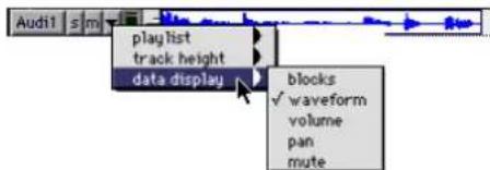 Audit1 s m playlist track height data display blocks ✓ waveform volume pan mute