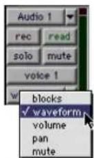 Avid Pro Tools 5.1 - Selector de vista de pista - 1