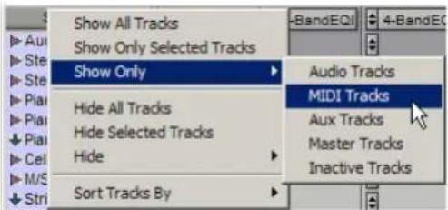 Avid Pro Tools 6.7 - Ocultación de pistas - 2