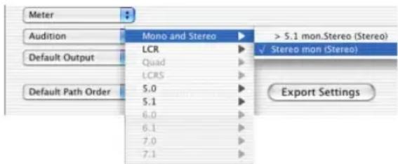 Meter Audition Default Output Default Path Order Mono and Stereo LCR Quad LCRS 5.0 5.1 6.0 6.1 7.0 7.1 > 5.1 mono.Stereo (Stereo) ✓ Stereo mon (Stereo) Export Settings