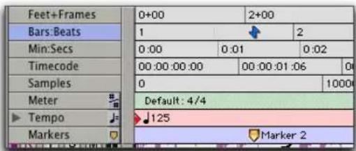Feet+Frames Bars:Beats Min:Secs Timecode Samples Meter Tempo Markers 0+00 2+00 1 2 0:00 0:01 0:02 00:00:00:00 00:00:01:06 0 1000 Default: 4/4 125 Marker 2