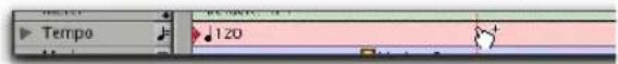 Avid Pro Tools 6.7 - Botón de cambio de tempo - 1