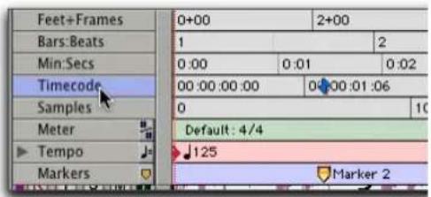 Feet+Frames Bars:Beats Min:Secs Timecode Samples Meter Tempo Markers 0+00 2+00 1 2 0:00 0:01 0:02 00:00:00:00 0:00:01:06 0 10 Default: 4/4 125 Marker 2