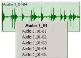 Audio 1_01-04 Audio 1_01 Audio 1_01-01 Audio 1_01-02 Audio 1_01-03 Audio 1_01-04 Audio 1_01-05