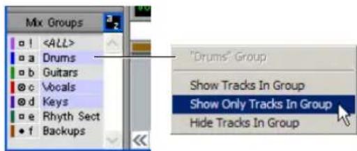 Avid Pro Tools 6.7 - Menú emergente Show/Hide Groups - 1