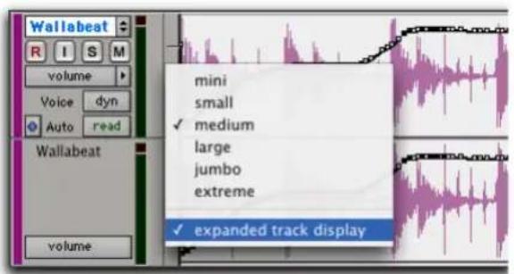 Avid Pro Tools 6.7 - Para activar la opción Expanded Track Display de una pista estéreo o multicanal: - 1