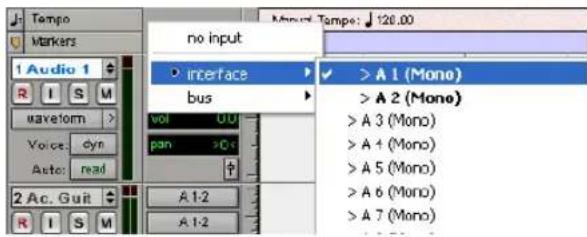 Tempo Markers 1 Audio 1 R I S M waveform > Voice: dyn Auto: read 2 Ac. Guit R I S M no input interface bus vol UU pan >0 A 1-2 A 1-2 > A 1 (Mono) > A 2 (Mono) > A 3 (Mono) > A 4 (Mono) > A 5 (Mono) > A 6 (Mono) > A 7 (Mono)
