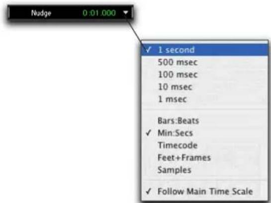 Nudge 0:01.000 ✓ 1 second 500 msec 100 msec 10 msec 1 msec Bars:Beats ✓ Min:Secs Timecode Feet+Frames Samples ✓ Follow Main Time Scale
