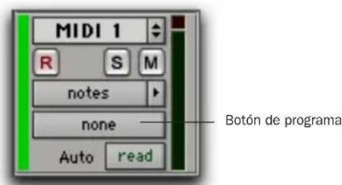 MIDI 1 R S M notes none Auto read Botón de programa
