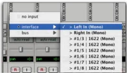 no input interface bus auto read auto read ban >0 ban >0 R I R I ✓ > Left In (Mono) > Right In (Mono) > #1/3 | 1622 (Mono) > #1/4 | 1622 (Mono) > #1/5 | 1622 (Mono) > #1/6 | 1622 (Mono) > #1/7 | 1622 (Mono) > #1/8 | 1622 (Mono)
