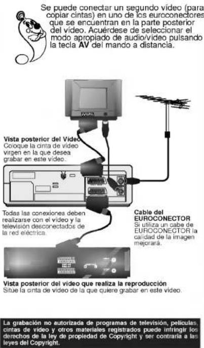 Se puede conectar un segundo vídeo (para copiar cintas) en uno de los euroconectores que se encuentran en la parte posterior del vídeo. Acuérdese de seleccionar el modo apropiado de audio/video pulsando la tecla AV del mando a distancia. Vista posterior del Vídeo Coorque la cinta de vídeo virgen en la que desea grabar en este vídeo. Todas las conexiones deben realizarse con el vídeo y la televisión desconectados de la red eléctrica. Cable del EUROCONECTOR Suitiza un cabe de EUROCONECTOR la calidad de la imagen mejorará. Vista posterior del vídeo que realiza la reproducción Situe la cinta de vídeo de la que quiere grabar en este vídeo. La grabación no autorizada de programas de televisión, películas, cintas de vídeo y otros materiales registrados puede infringir los derechos de la ley de propiedad de Copyright y ser contraría a las leyes del Copyright.
