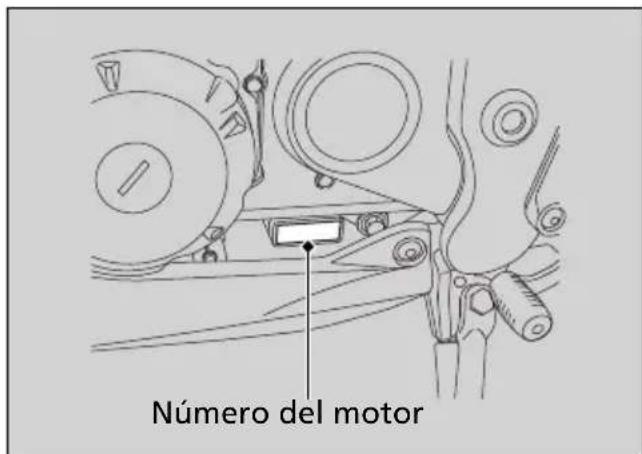 Número del motor