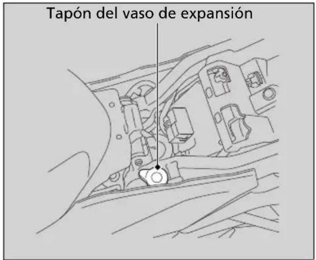 Tapón del vaso de expansión
