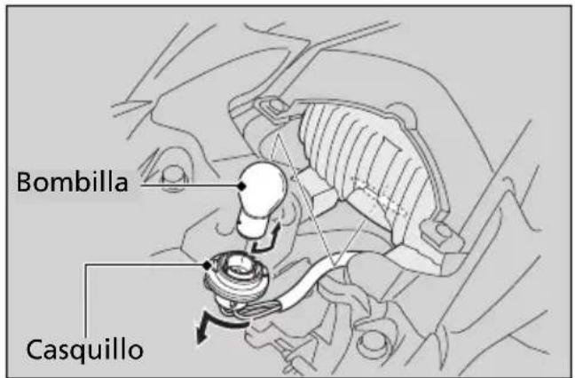 Bombilla Casquillo