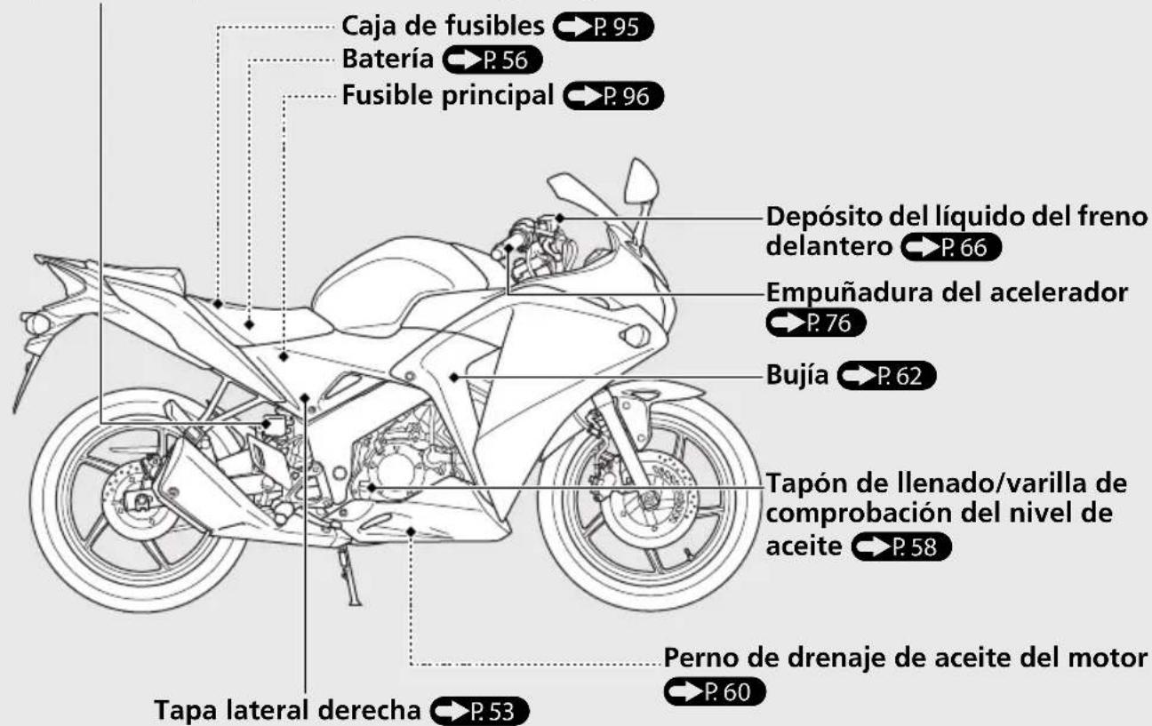 Caja de fusibles → P. 95 Batería → P. 56 Fusible principal → P. 96 Depósito del líquido del freno delantero → P. 66 Empuñadura del acelerador → P. 76 Bujía → P. 62 Tapón de llenado/varilla de comprobación del nivel de aceite → P. 58 Perno de drenaje de aceite del motor → P. 60 Tapa lateral derecha → P. 53