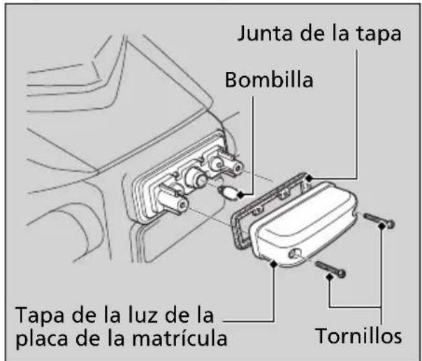 Junta de la tapa Bombilla Tapa de la luz de la placa de la matrícula Tornillos