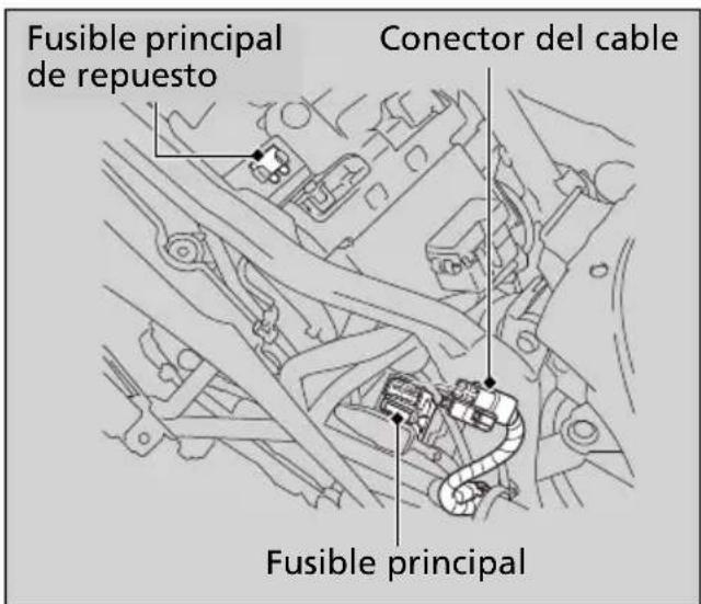 Fusible principal de repuesto Conector del cable Fusible principal