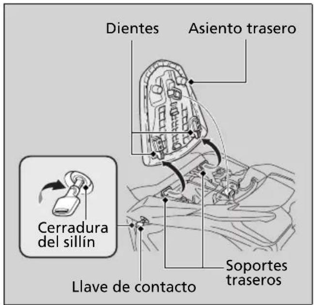 Dientes Asiento trasero Cerradura del sillín Llave de contacto Soportes traseros
