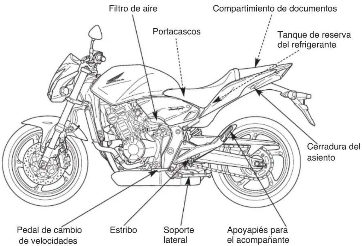 Filtro de aire Portacascos Compartimiento de documentos Tanque de reserva del refrigerante Cerradura del asiento Pedal de cambio de velocidades Estribo Soporte lateral Apoyapiés para el acompañante