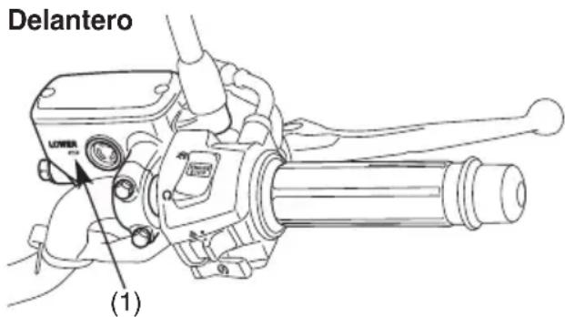 Delantero (1)