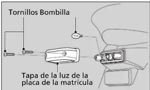 Honda PCX 125 (2013) - Bombilla de la luz de la placa de la matrícula - 1