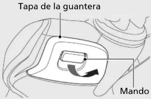 Honda PCX 125 (2013) - Guantera - 1