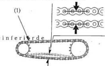 (1) inferiorde
