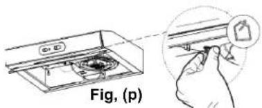 Fig. (p)
