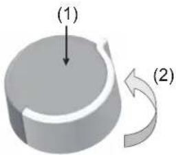 (1) (2)