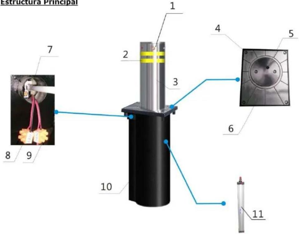 Estructura Principal 1 2 3 4 5 6 7 8 9 10 11