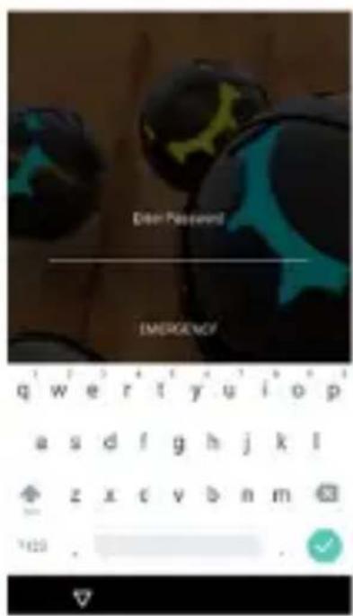 Dear Password EMERGENCY q w e r t y u i o p a s d f g h j k l z x c v b n m 1420 .