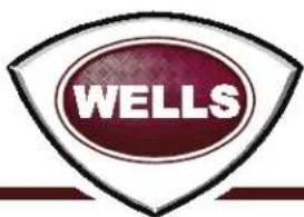 WELLS