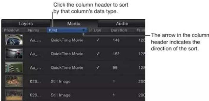 APPLE Motion 5.0 - Ordenar los ítems de una columna por tipo de archivo - 1