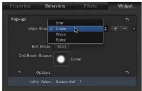 APPLE Motion 5.0 - Parámetros del inspector - 1