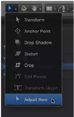APPLE Motion 5.0 - Mostrar los controles en pantalla de un filtro - 1