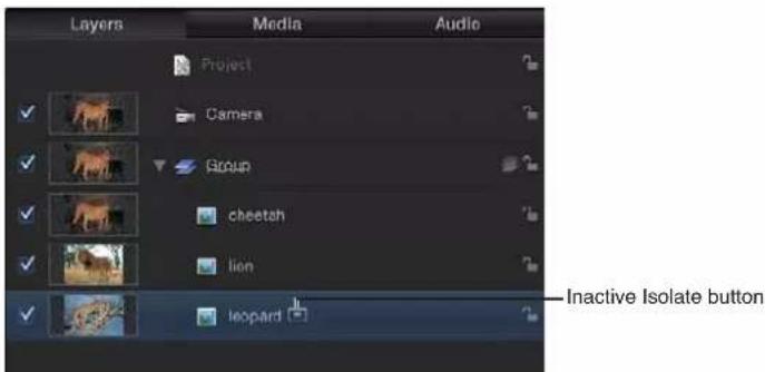 APPLE Motion 5.0 - Aislar una capa - 2