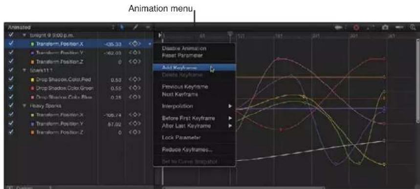 APPLE Motion 5.0 - Partes del editor de fotogramas de referencia - 3