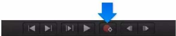 APPLE Motion 5.0 - Animar la desviación de textura con el botón Grabar - 1