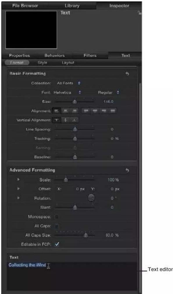 APPLE Motion 5.0 - Introducir texto en el editor de texto - 1