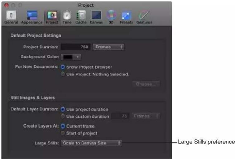 APPLE Motion 5.0 - Importar imágenes fijas grandes - 1