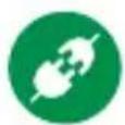 Green Leaf 18-8338PK - CONTENIDO - 2